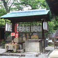 009 Gion 30oct