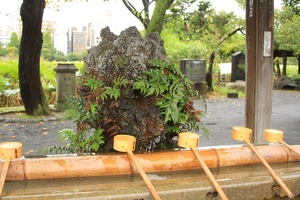 003 Ueno 01nov