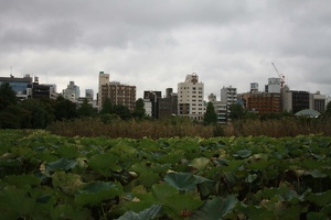 007 Ueno 01nov