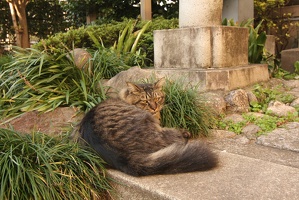 247 Ikebukuro 04nov