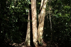 016 BukitTimah 22-11-09
