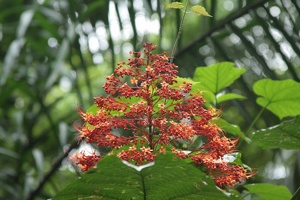019 BukitTimah 22-11-09