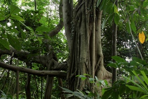 020 BukitTimah 22-11-09