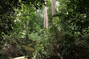 022 BukitTimah 22-11-09