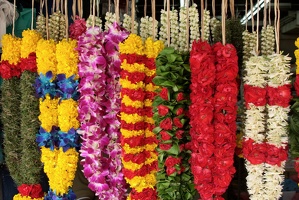 030 LittleIndia 22-11-09