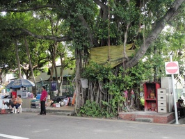 044 LittleIndia