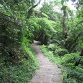 Yangmingshan-24-08_0002.jpg