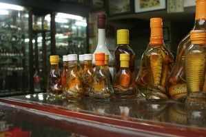 236 Vietnam 25-04-2010
