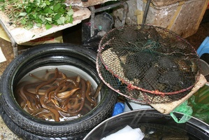 258 Vietnam 26-04-2010