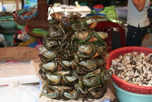 259 Vietnam 26-04-2010