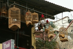 270 Vietnam 26-04-2010