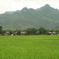 621_Vietnam_02-05-2010.jpg