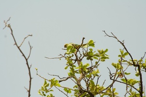 010 QutabMinar