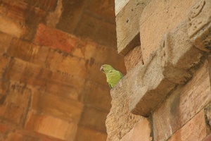 011 QutabMinar