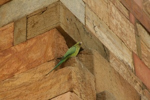 012 QutabMinar