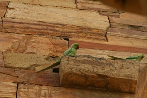 013 QutabMinar