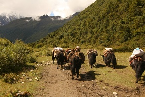 159 Samdo 09-09
