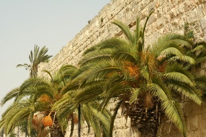 002 Jerusalem 10.31