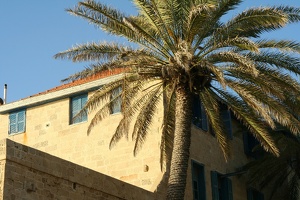 037 TelAviv 16.37