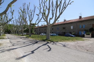 079  Arles Salin De Giraud 130523 10H53