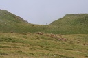July 2005