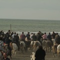 62-Camargue-2008