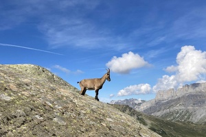 13 LacCornu-02Sept23-10H36