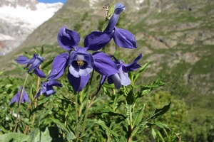 03 ValVeny 03-07-2023