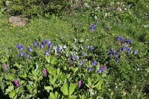 06 ValVeny 03-07-2023