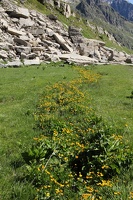 16 ValVeny 03-07-2023
